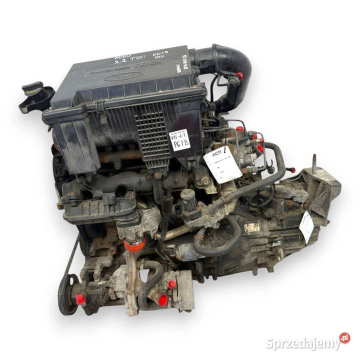 SILNIK PGFB Ford Transit VII MK7 22 TDCI 140 osobowe lubelskie Chełm