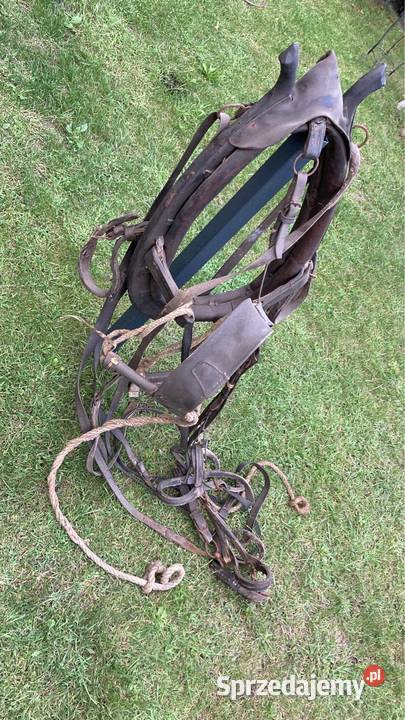 Jarzmo chomąto konia Warszawa