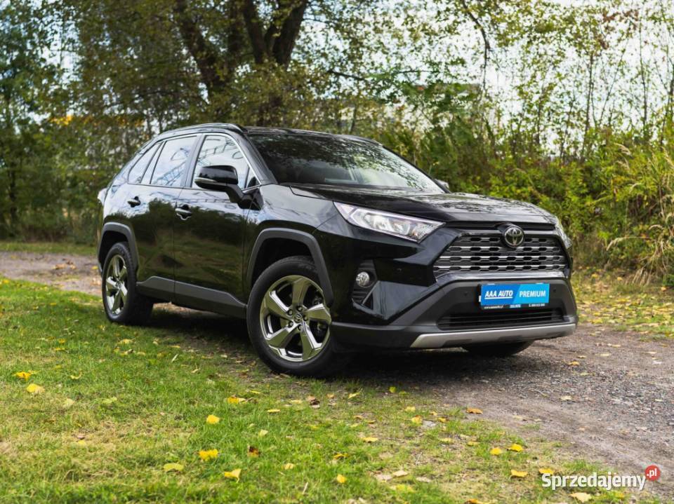 Toyota RAV 4 20 Valvematic światła do jazdy dziennej Katowice