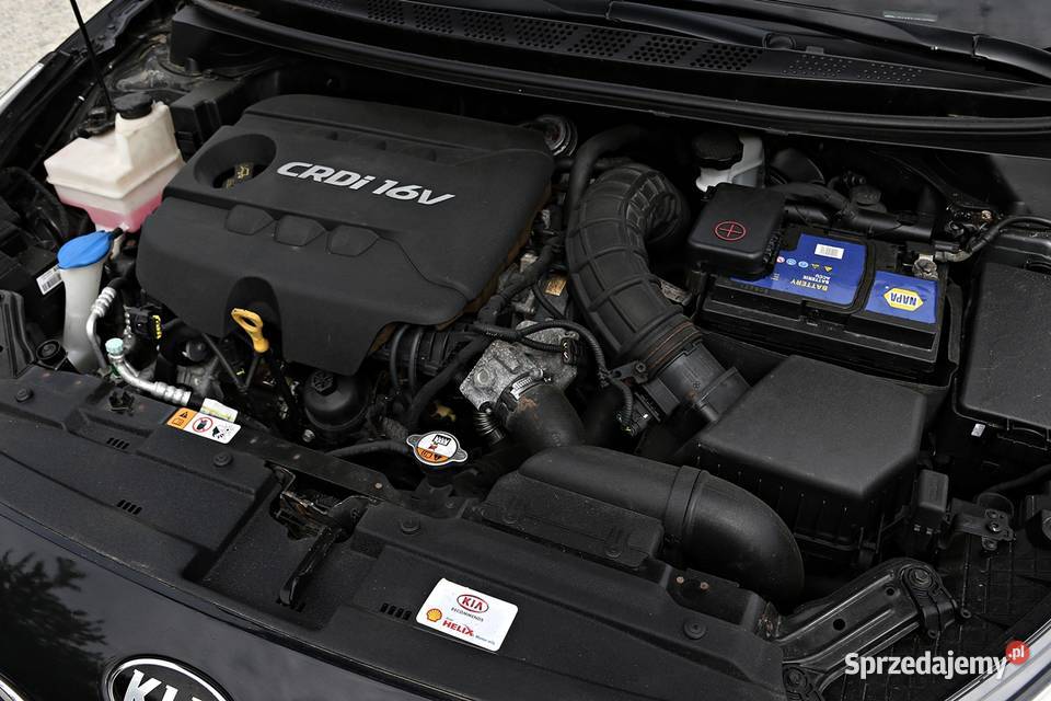 5Drzwi Hatchback Nawigacja Android Auto sprzedam