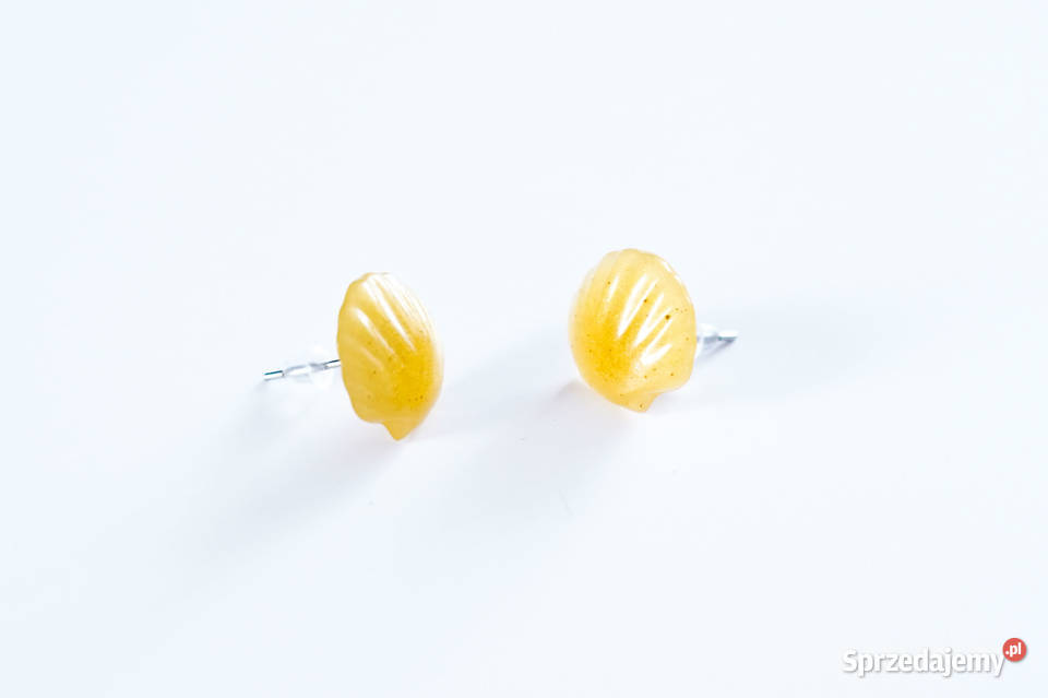 Kolczyki muszelki sztyfty kolor złoty z żywicy Warszawa