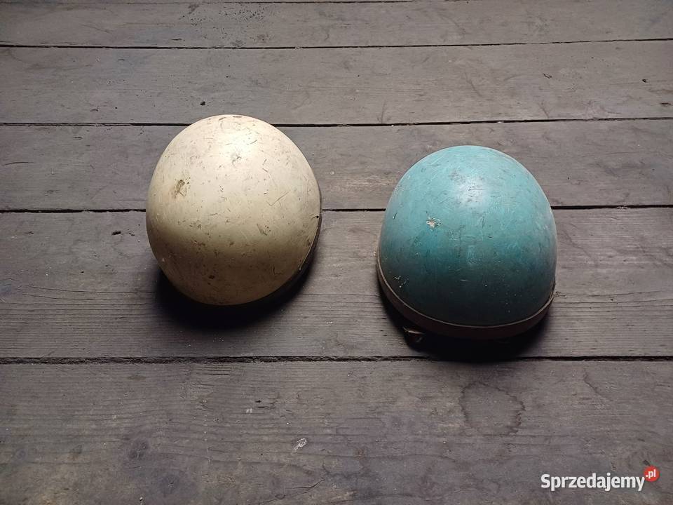 Kaski orzeszki Kaski dolnośląskie Świdnica Polska