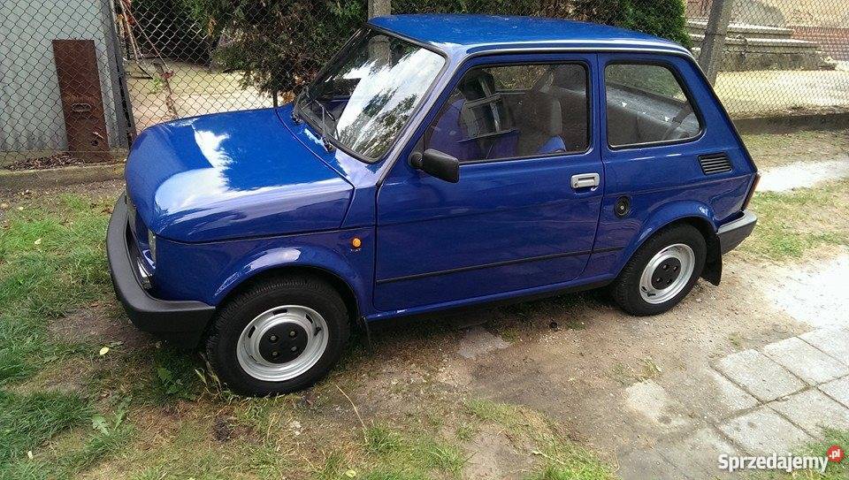 MALUCH STAN IDEALNY 126p Poznań