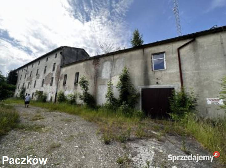 Syndyk sprzeda nieruchomości w Paczkowie i 47zł/m2