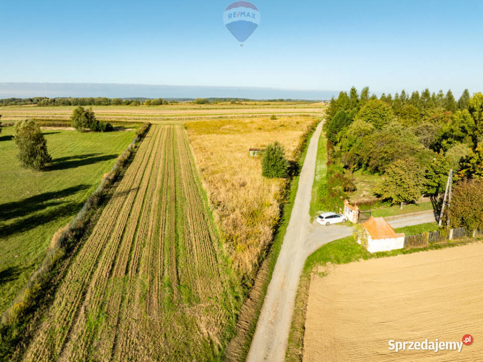 DZIAŁKA SKAŁA Skała