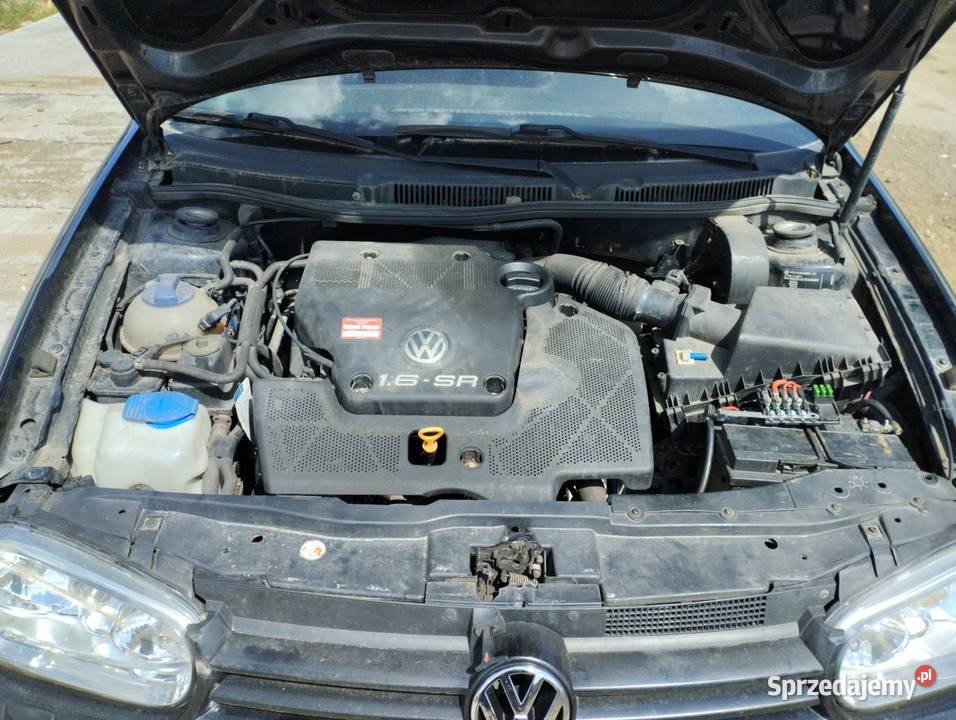 Vw Golf 4 16 SR 1999 Sicienko sprzedam