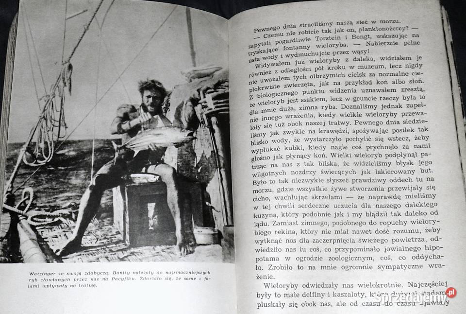 Wyprawa KonTiki Thor Heyerdahl Chełm