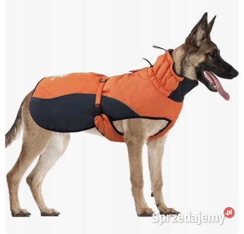 Kurteczka Ireenuo pomarańczowy Rozmiar S używany Myszyniec