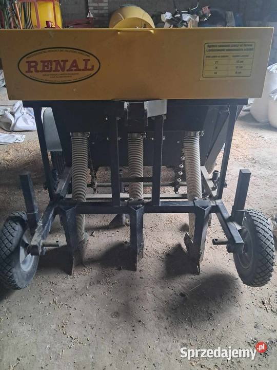 Sadzarka automatyczna RENAL