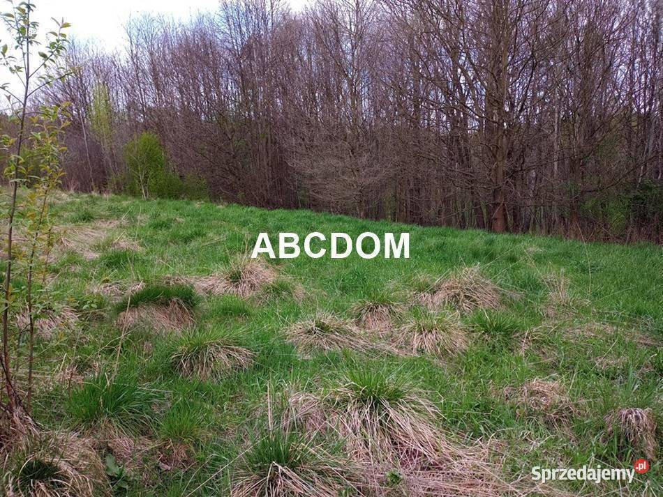 Raciborsko 39 ara łąki Tereny Z las Tereny ZL Sprzedaż