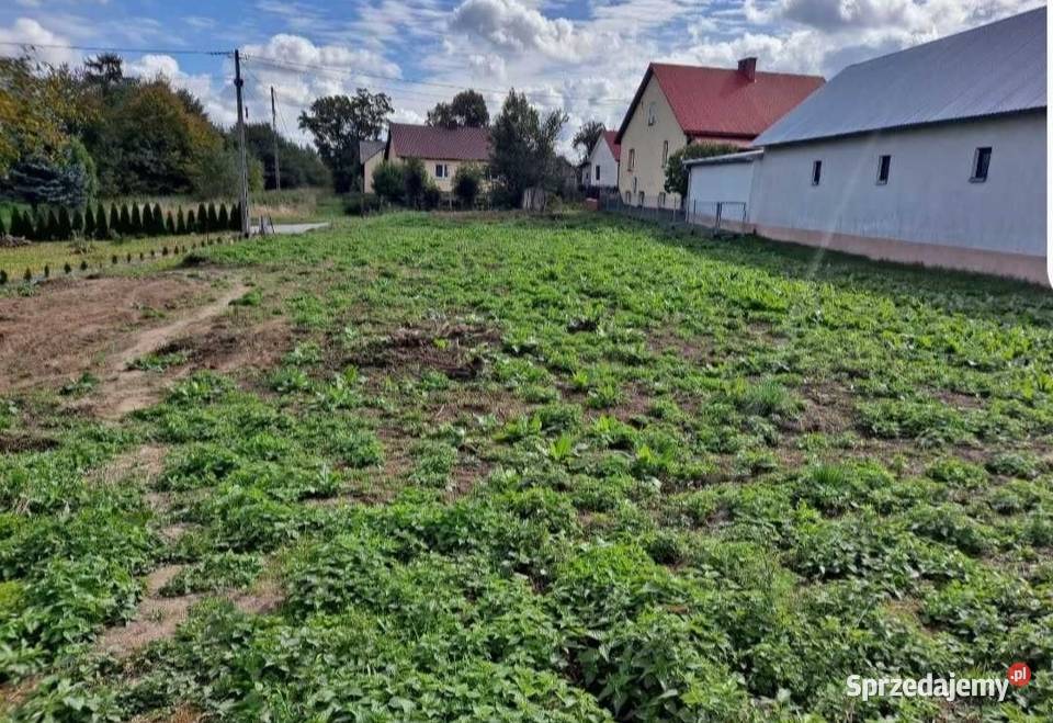 SPRZEDAM20arów z potencjałem I Latyczyn I 75 000
