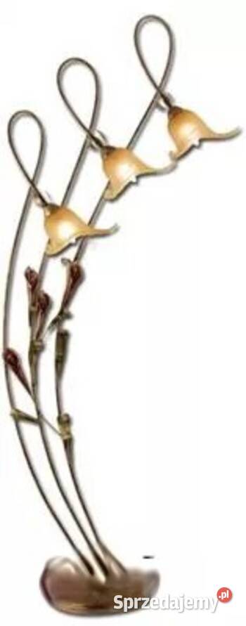 Zestaw oświetlenia żyrandole lampa podłogowa Rąbień sprzedam