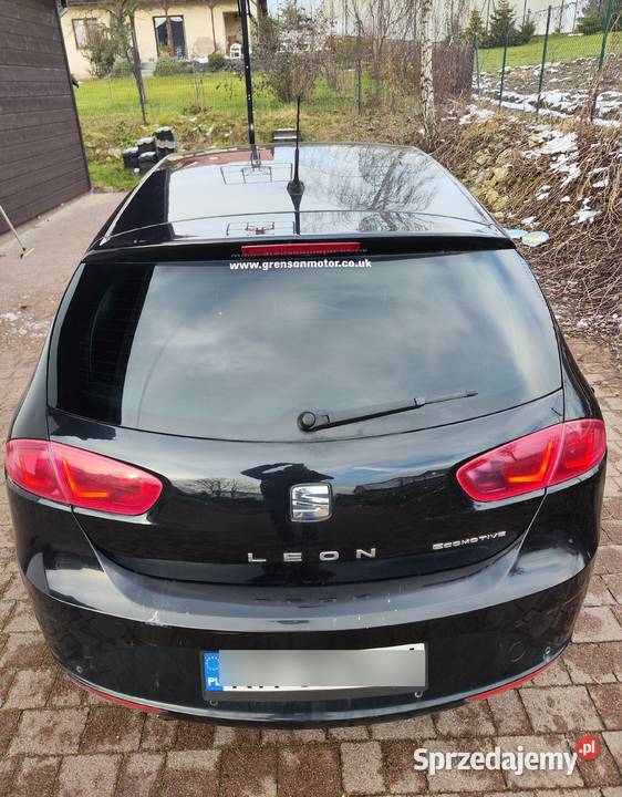 Seat Leon Ecomotive małopolskie Będkowice