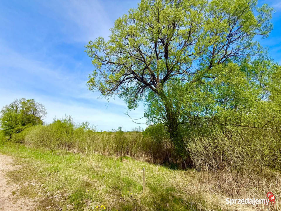 sprzedaży gruntu Bród Nowy 30000m2 podlaskie