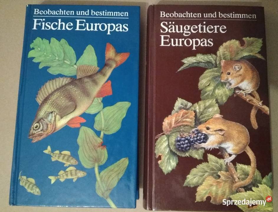 Fische Europas Saugetiere Europas śląskie Wieprz sprzedam