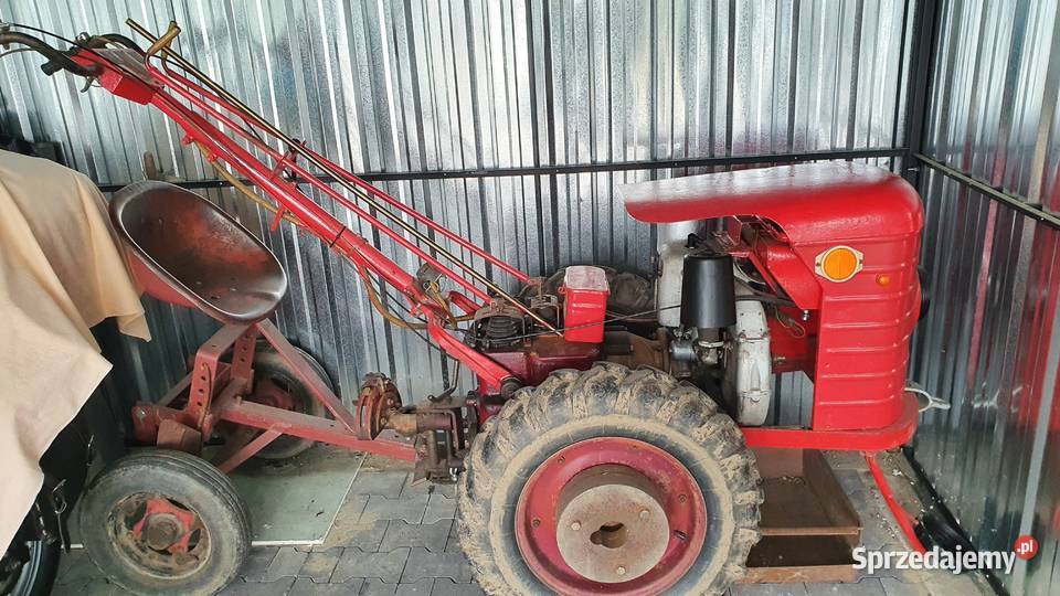 Sprzedam Dzika 21 Ursus 21 Rok produkcji 1972 Magnuszewice