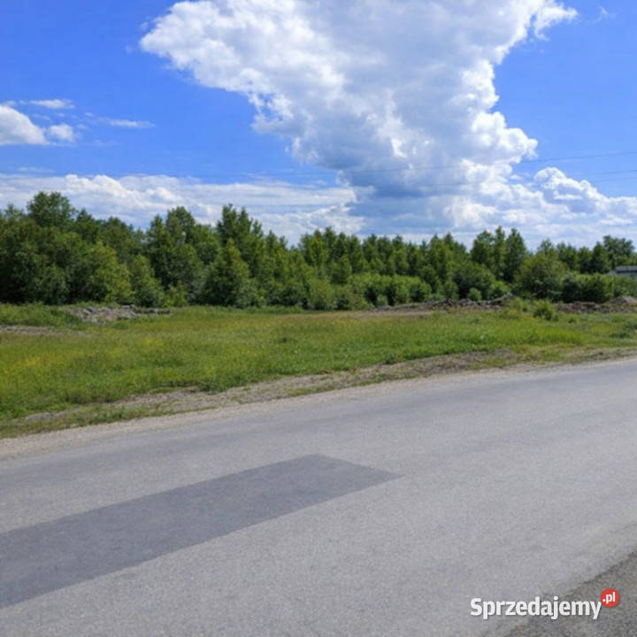 Działka budowlanoinwestycyjna 3750 m Michałowska łódzkie
