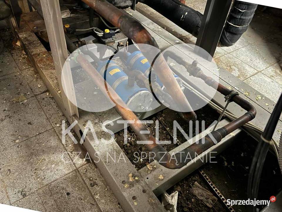 Sprzątanie gołębiach Jelenia Góra Kastelnik