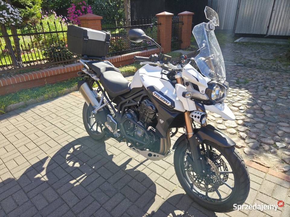 Triumph