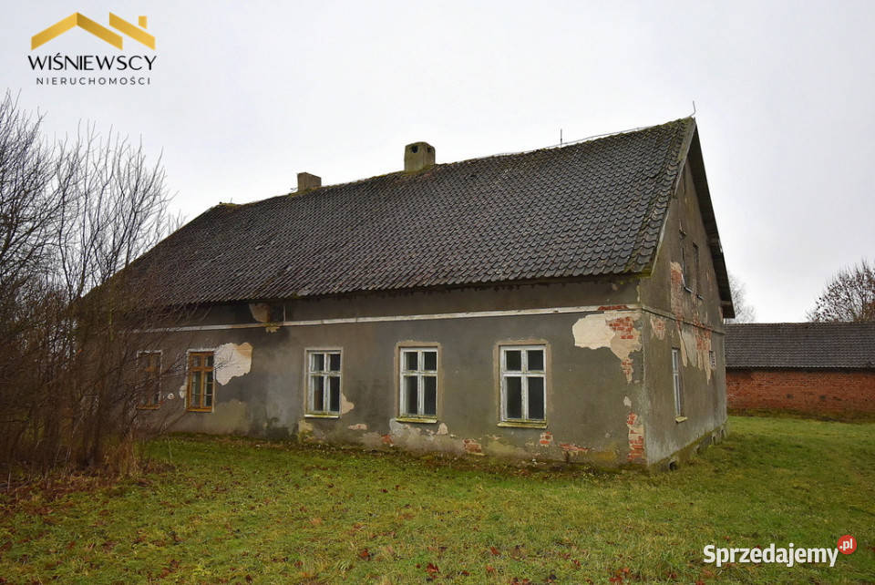 Siedlisko 9400m2 dom dwa budynki gospodarcze Głotowo