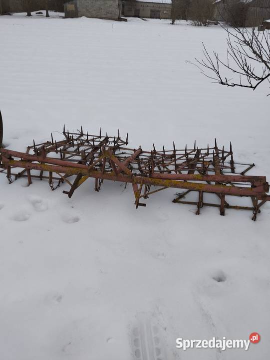 Brony 5 polowe Grudziądz