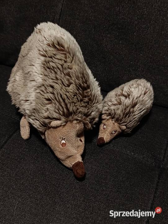 rodzina jeży pluszowa zabawka maskotka pluszak Poznań