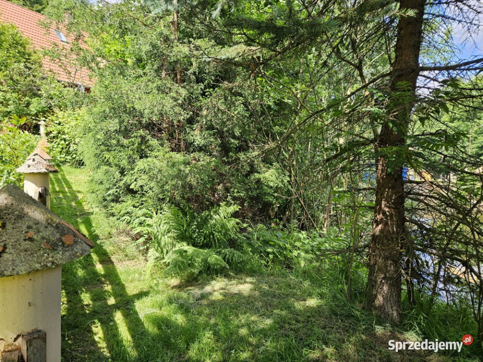 Syndyk sprzeda nieruchomość niezabudowaną Podgórzyn