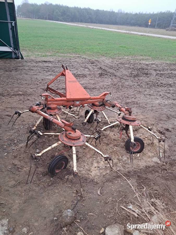Przetrzasacz nieuszkodzony lubelskie Klonownica Mała