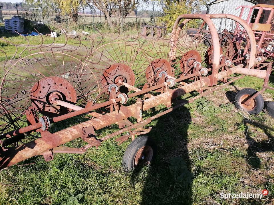 Pająk do siana Drogusza