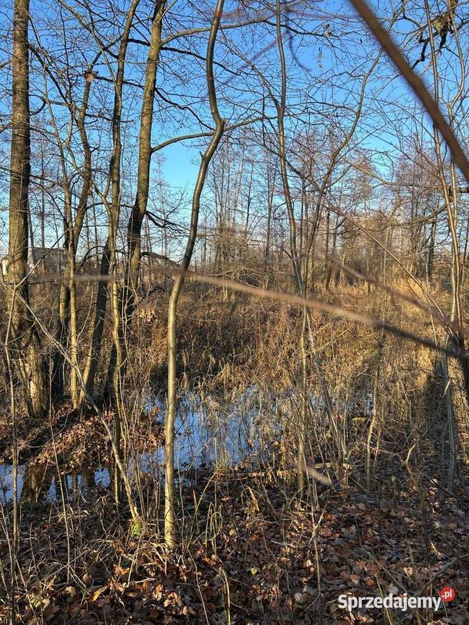 Syndyk sprzeda nieruchomość gruntową Targówka