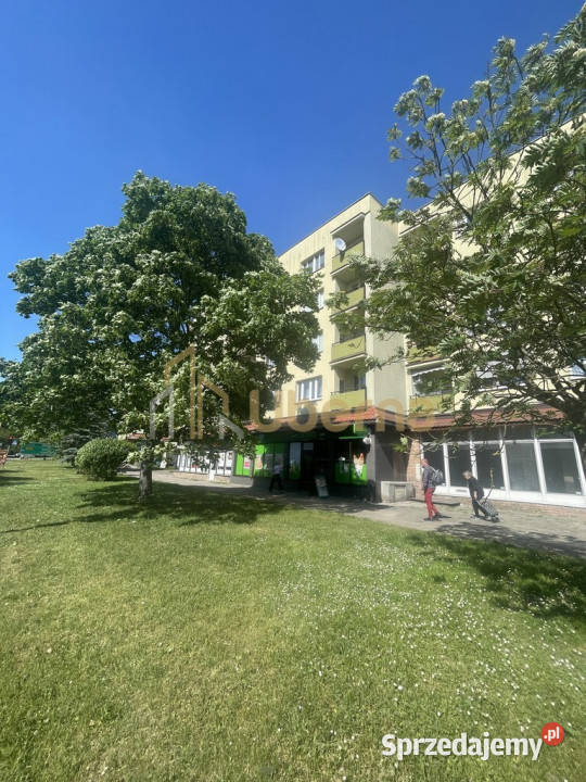 Gotowa Inwestycja w Centrum Nowogardu 105.4m2 Nowogard