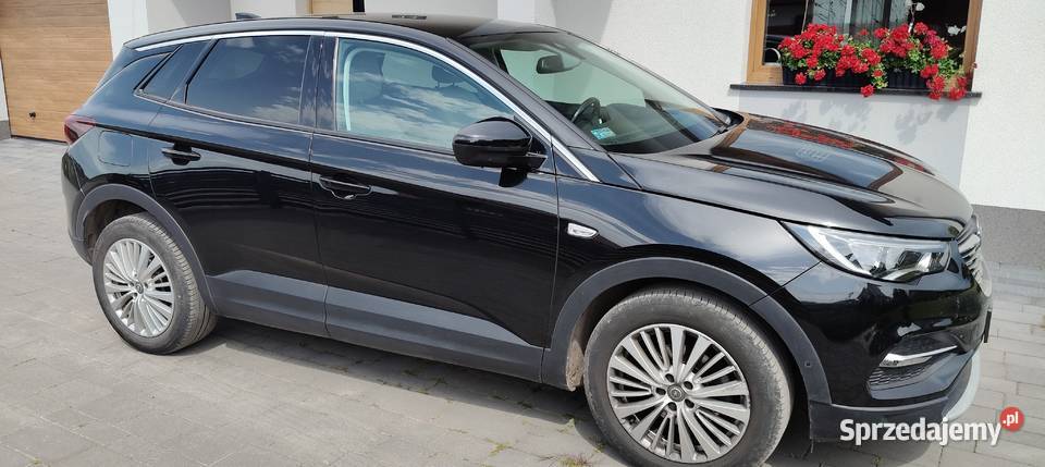 Opel Grandland X nieuszkodzony Krzeszów
