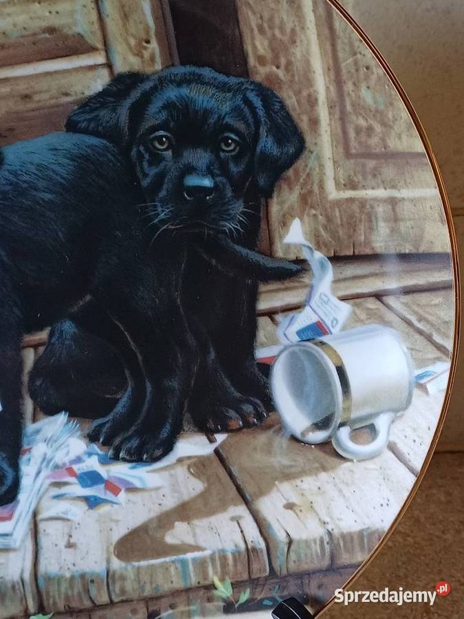 kolekcjonerskie porcelanowe talerze małopolskie sprzedam
