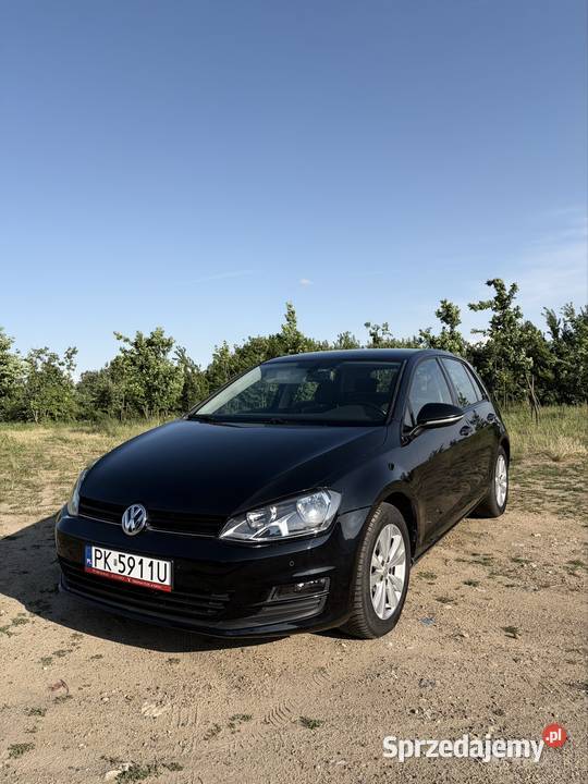 Volkswagen golf 7 1598cm3 Kalisz