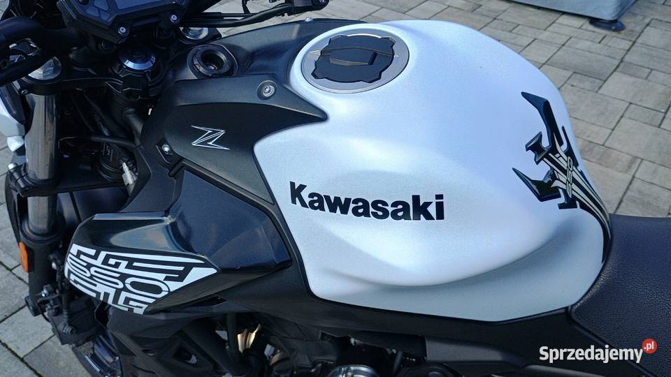 Kawasaki Z 650 2019 50KW Rzuchowa