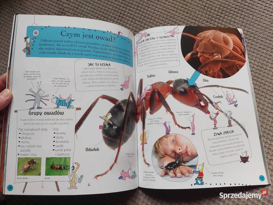 National Geographic Małe Mózgofalki poznają małopolskie Kraków