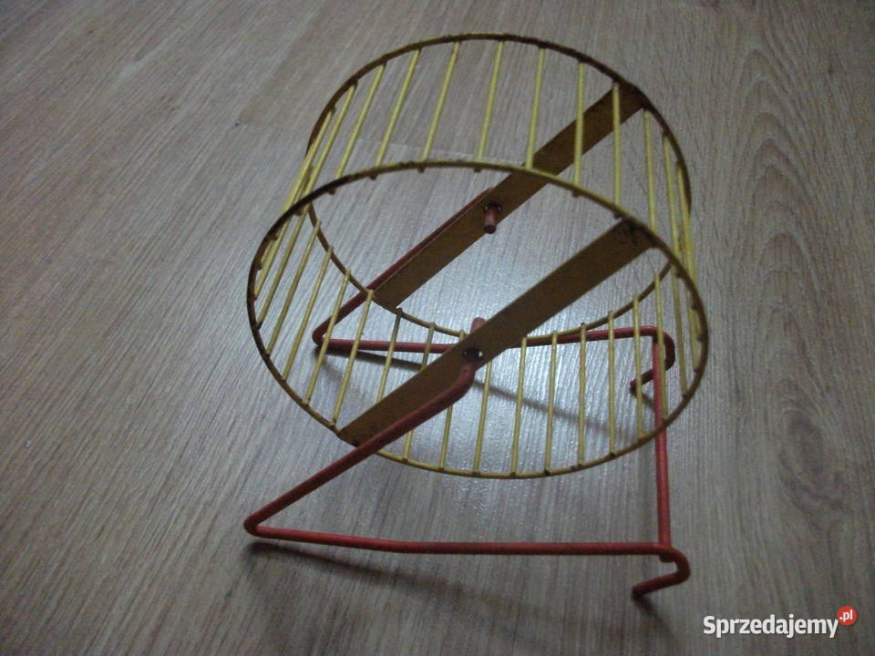 KOLO CHOMIKA Gorzów Wielkopolski