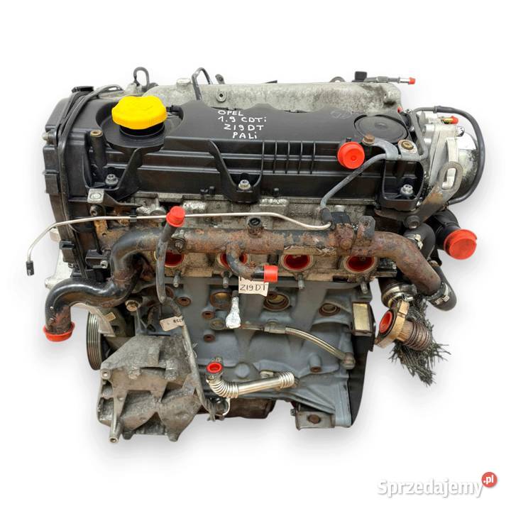 SILNIK Z19DT Opel Signum Vectra C Astra H Zafira Chełm