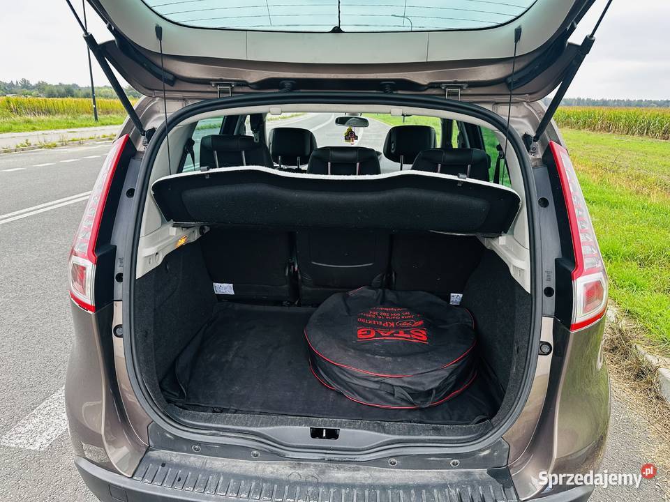 Renault Scenic Scenic Knurów