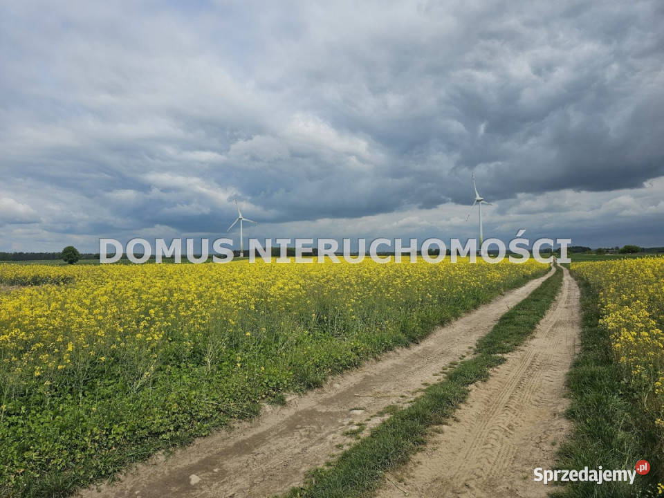 Działka 67765m2 Stefanów szambo Sprzedaż Nieruchomości łódzkie
