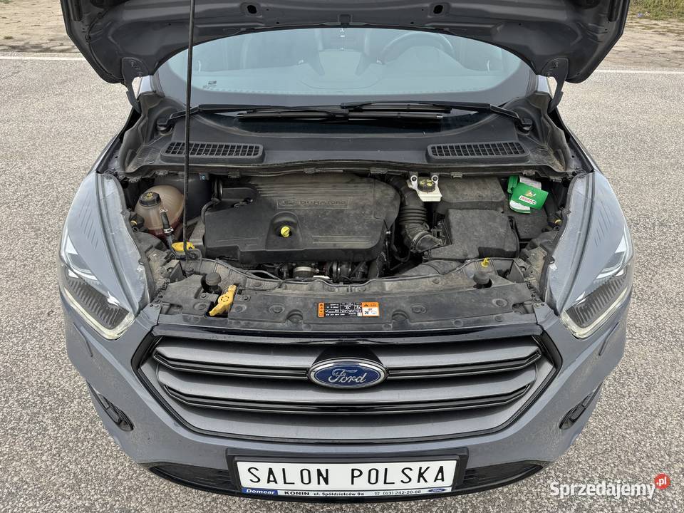 Ford Kuga STLINE Salon Polska Serwisowany w ASO Konin