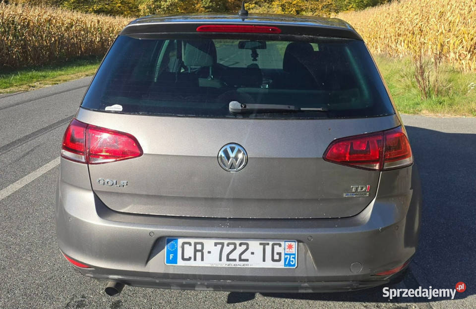 Volkswagen Golf Sutomat 160000 VII 2012 Golf Pleszew