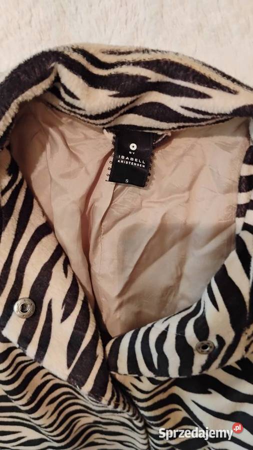 Zebra by Isabell Kristensen kujawsko-pomorskie Grudziądz