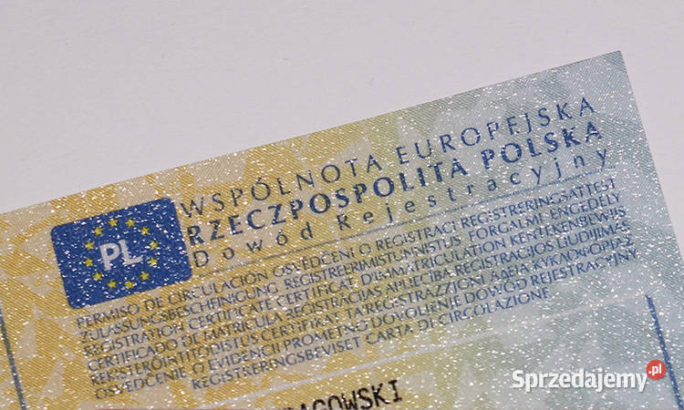 Zagubiony dowód rejestracyjny UE Belgia Dania Usługi Toruń