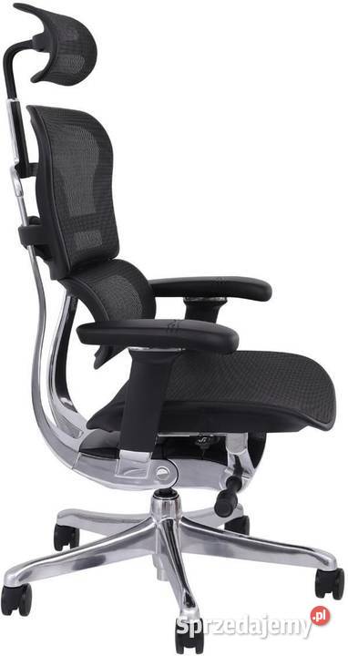 Fotel biurowy ergonomiczny Ergohuman Elite 2 BS Bielsko-Biała