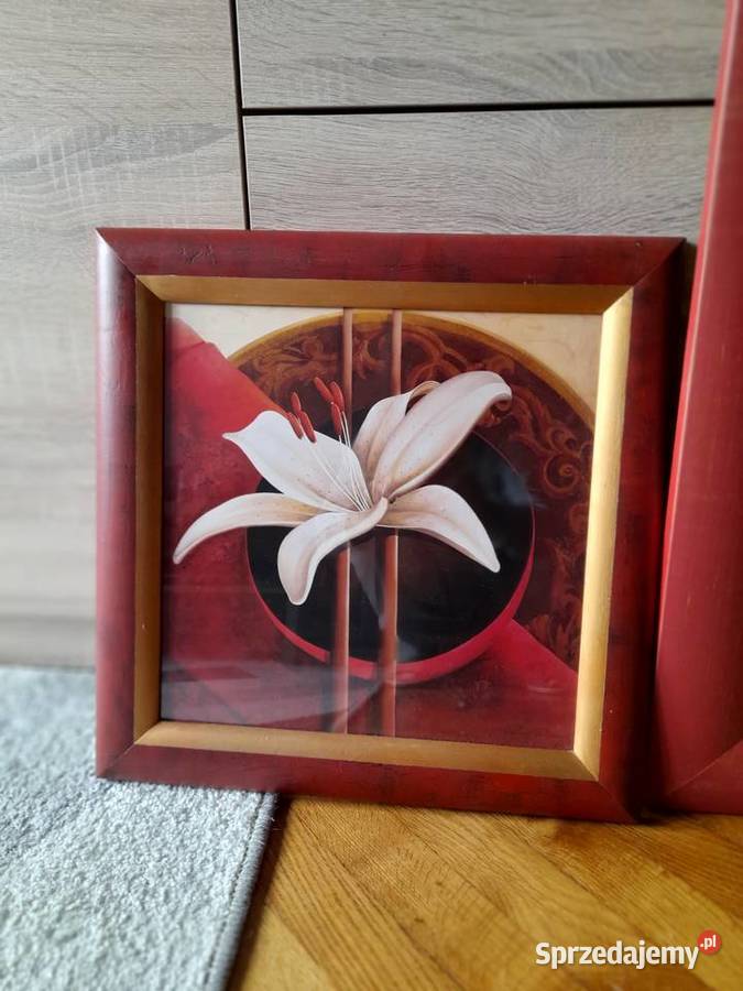 Obrazy reprodukcja Claudi Ancelotti odcienie czerwieni