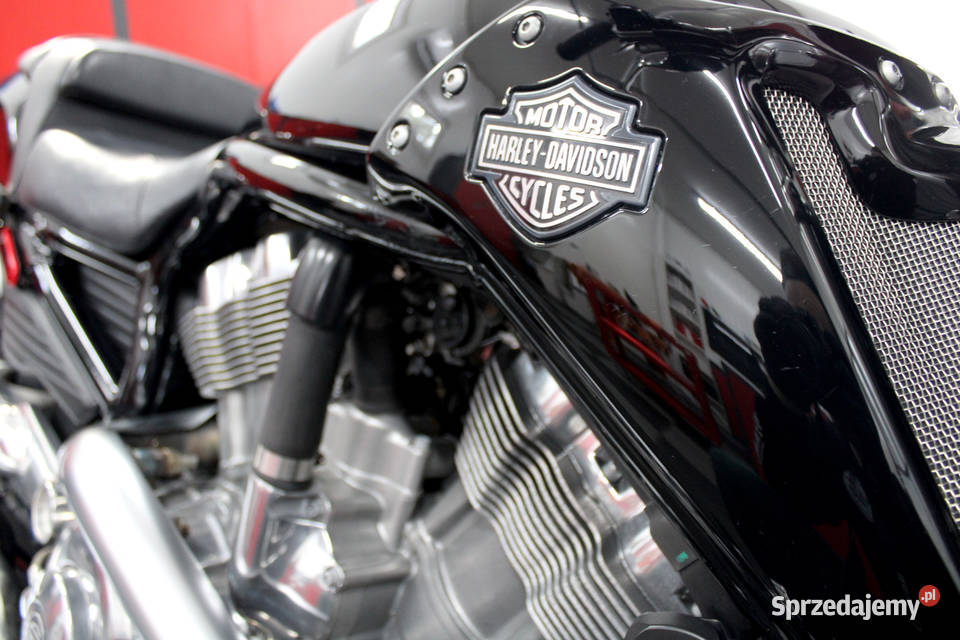 HD VROD MUSCLE w pełnym oryginale Unikat Nowy Dwór Mazowiecki sprzedam