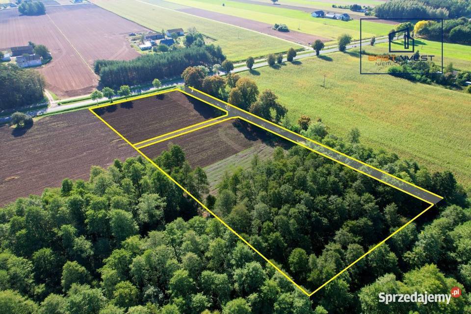 Duża działka budowlana z własnym lasem 7012 m2 Skorosze