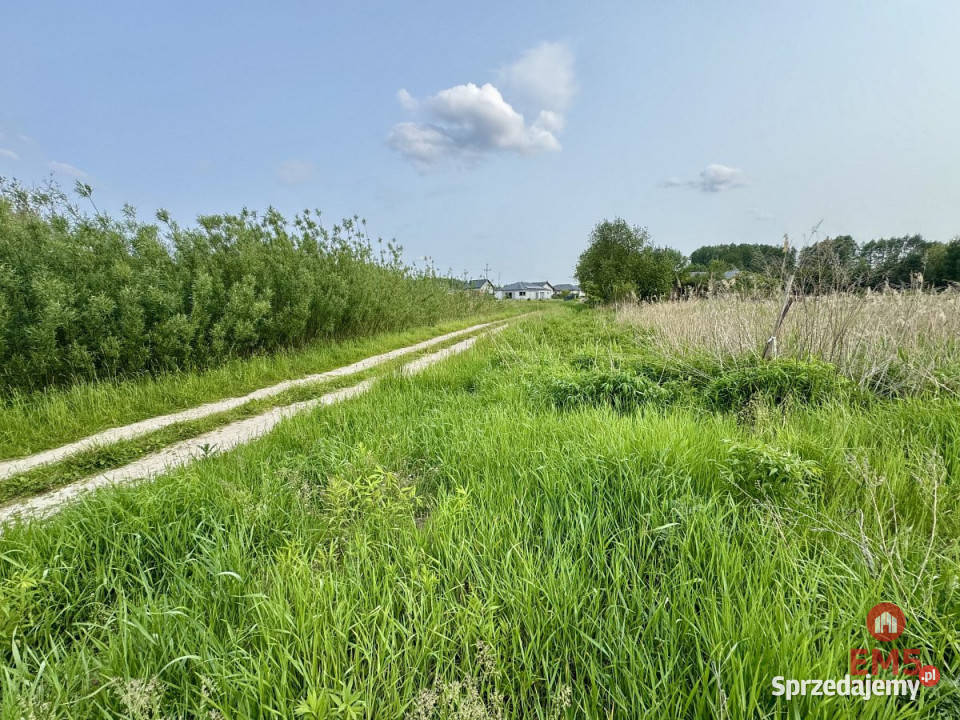 Grunt Nowodworce 1129m2