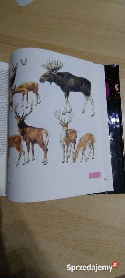 Świat zwierząt Wydanie 3